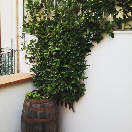 Ferienwohnung Il Terrazzino Sul Kemonia Palermo Exterior foto