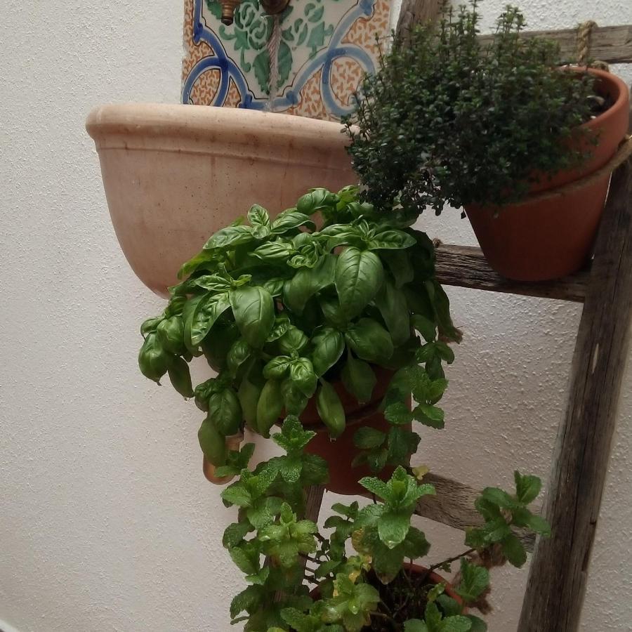 Ferienwohnung Il Terrazzino Sul Kemonia Palermo Exterior foto